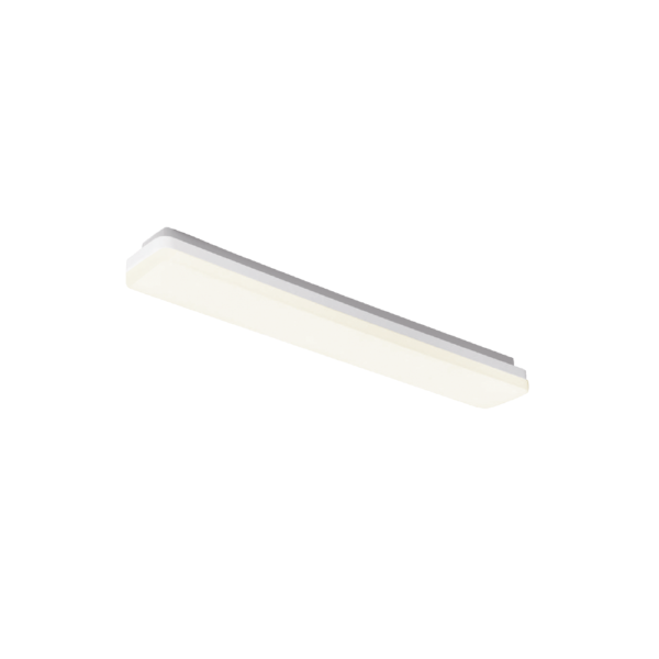 PLAFONNIER ET APPLIQUE MURAL CCT IP54